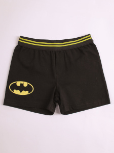 Боксеры мальчик