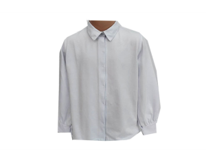 110.5445 Белый слон