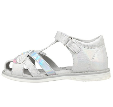 241S-Z6-4429 Flamingo3