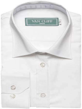 17490 VAN CLIFF1 17490 VAN CLIFF1