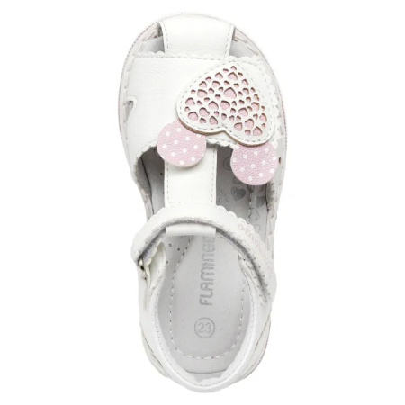 251S-Z6-6101 Flamingo6