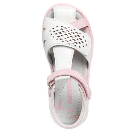 241S-Z6-4440 Flamingo6