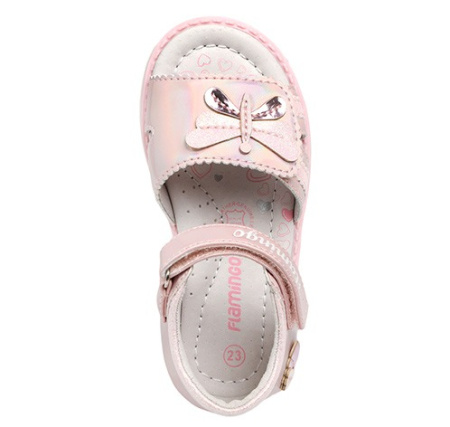 241S-Z6-4372 Flamingo6