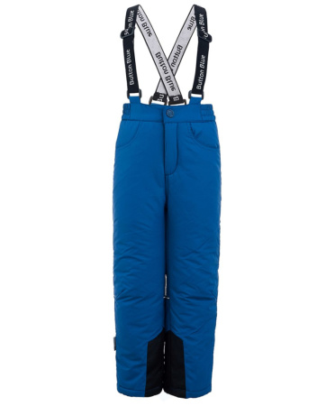 219BBGA64023700 (Баттон)