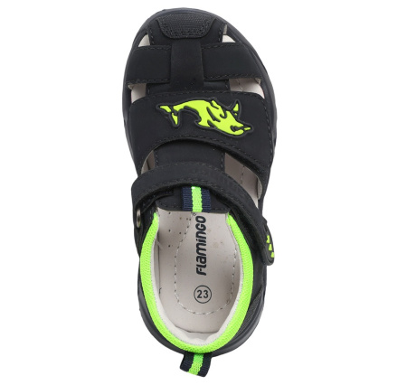 241S-Z6-4505 Flamingo6