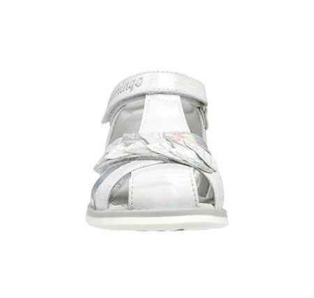 241S-Z6-4429 Flamingo4