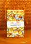 MBS042 MilotaBox5